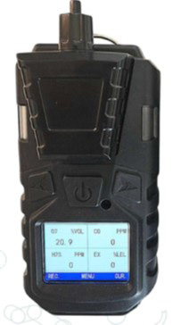 เครื่องวัดก๊าซรั่วแบบพกพา Delta Sense Gassense 4x V2 (รุ่นมีปั๊ม)